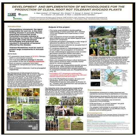 poster58: Development and implementation of methodologies for the production ...