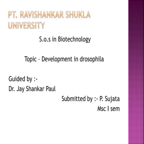 Development in drosophila ppt