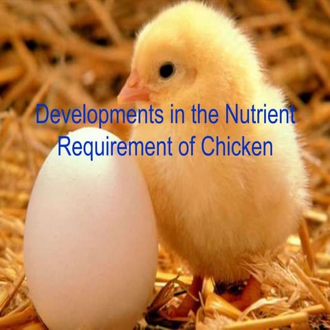 Developments in the Nutrient Requirement of Chicken