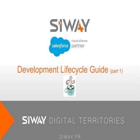 Development-Lifecycle-and-Deployment-Architect Unterlage