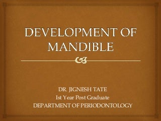 Development of mandible