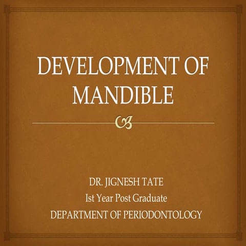 Development of mandible