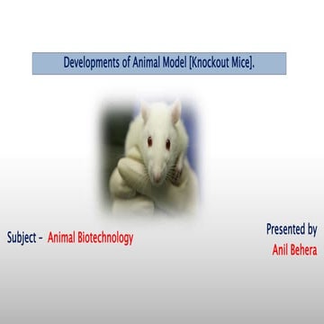 Development of animal model   (Knockout Mice)