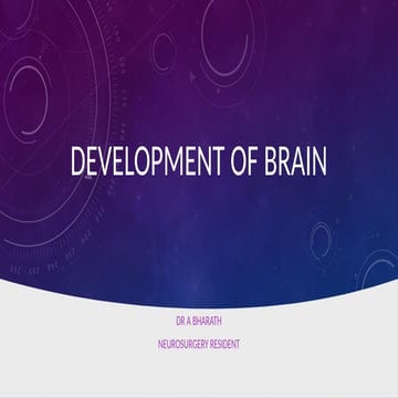 Presentation on Development of Brain.pptx