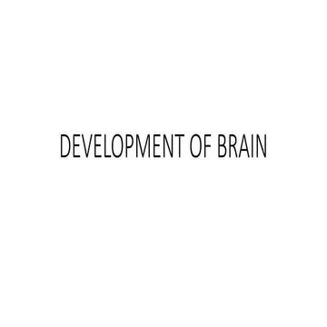 development of brain and defects ass.pptx