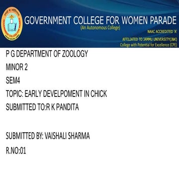 Development of chick