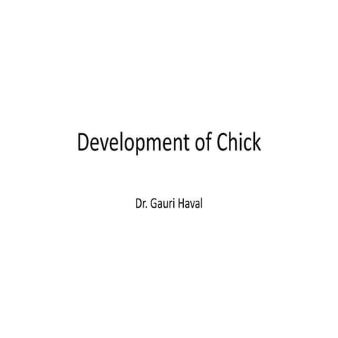 Development of chick