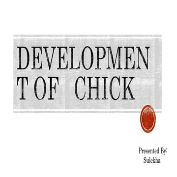 Development of chick.pptx