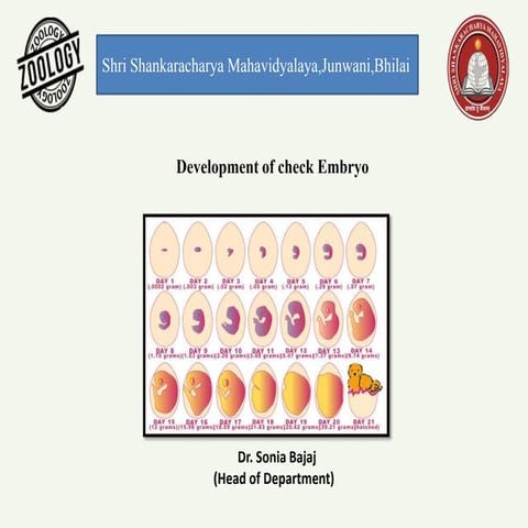 Development of chick embryo- structure of egg,cleavages,fate map and primitiv...