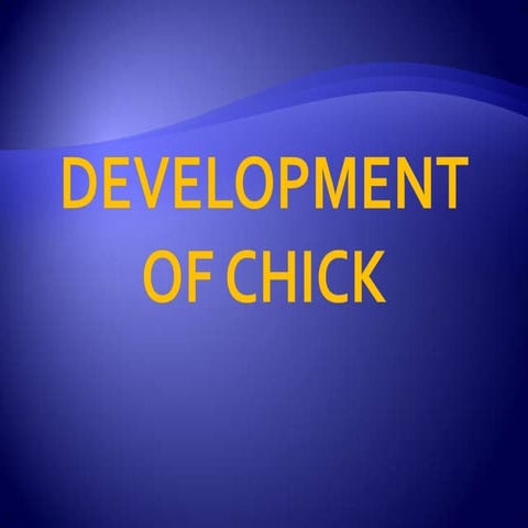 Development of chick powerpoint