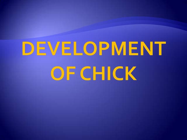 Development of chick | PDF