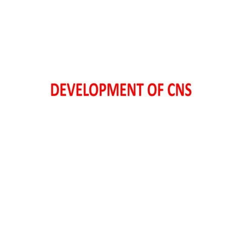 Development of CNS 02