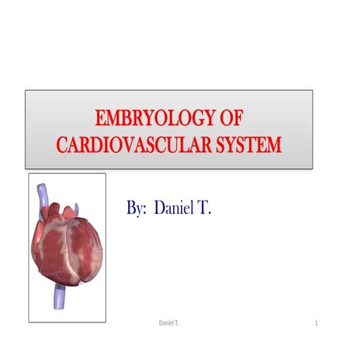 EMBRYOLOGY OF CARDIOVASCULAR SYSTEM slide share