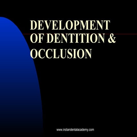 Development of dentition and occlusion