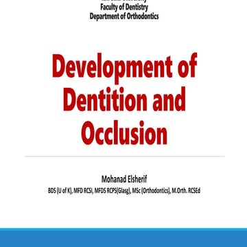 Development of dentition and occlusion