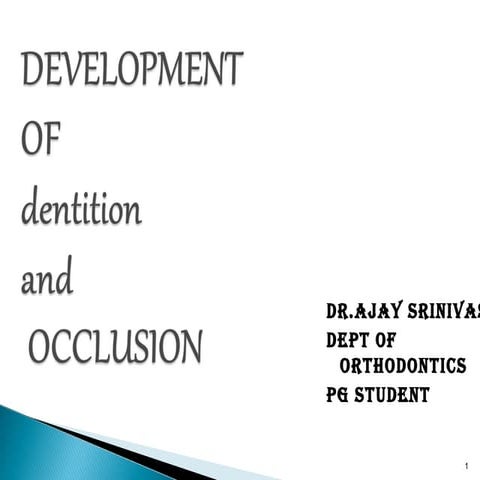 Development of dentiton and occlusion   dr ajay srinivas