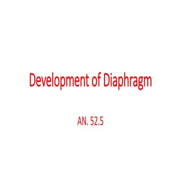Development of Diaphragm.pptx