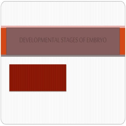 Development of embryo 