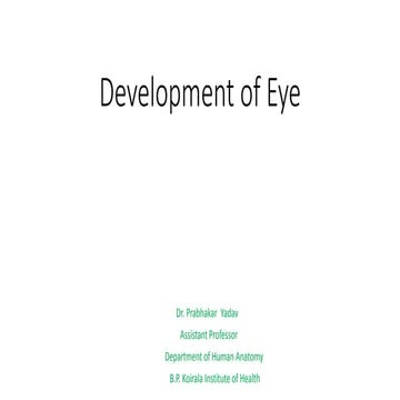 Development of eye  