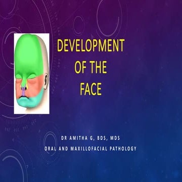 Development of Face