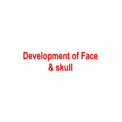 Development of Face.pptx