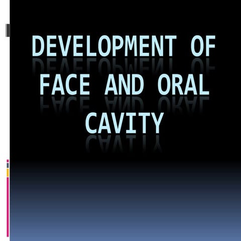 Development of face and oral cavity*