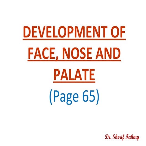 Development of Face, Nose and Palate (Special Embryology)