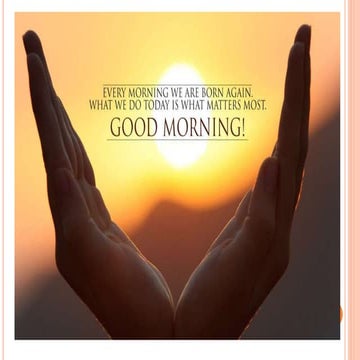 Development of face, paranasal sinus.