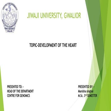 Development of heart (1)