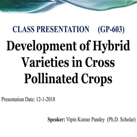Development of hybrid s