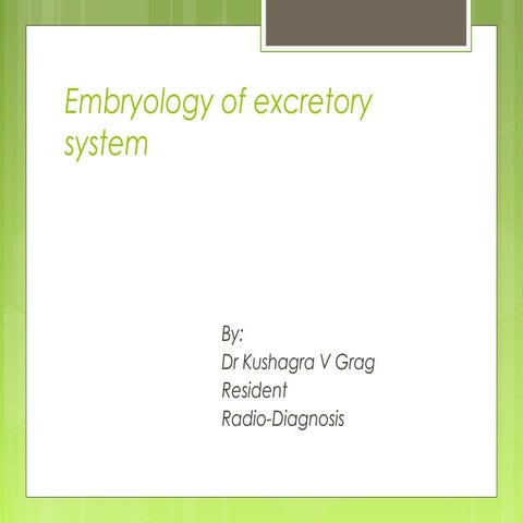 Development of kidney and ureter