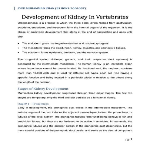 Development of Kidney In Vertebrates