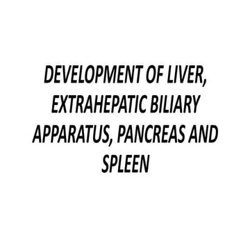 Development of liver , extrahepatic biliary apparatus , pancreas and spleen.