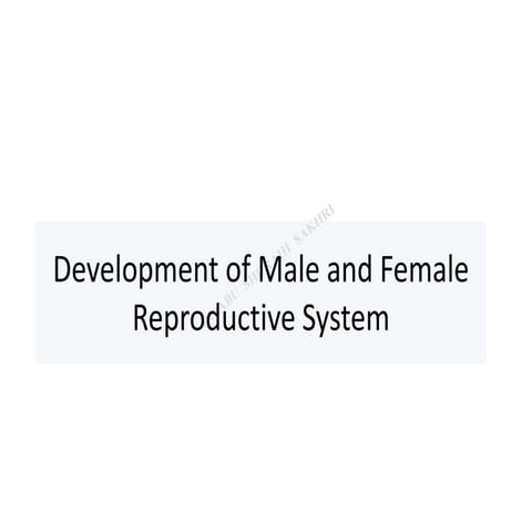 Development of male and female reproductive system