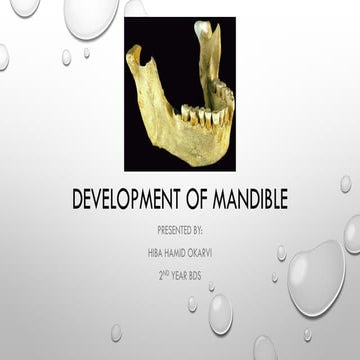 Development of mandible