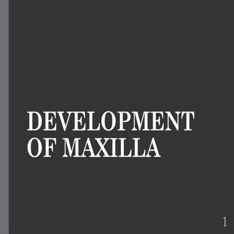 DEVELOPMENT OF MAXILLA prenatal and post natal.pptx