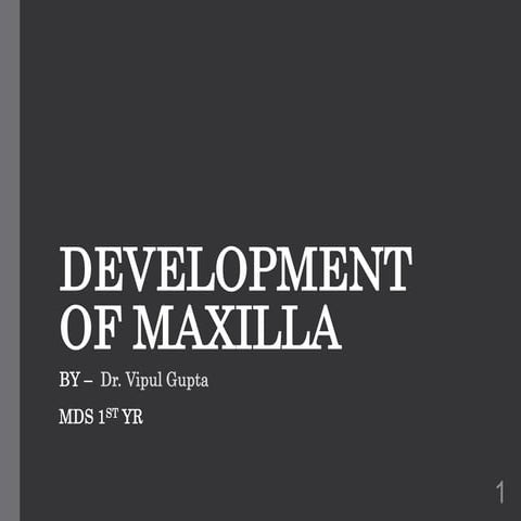 DEVELOPMENT OF MAXILLA with prenatal and postnatal development.pptx