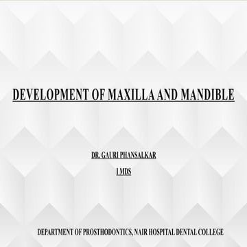 DEVELOPMENT OF MAXILLA AND MANDIBLE.pptx