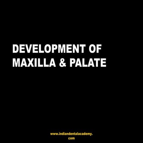Development of maxilla &amp; palate