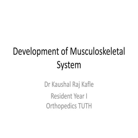 Development of Musculoskeletal system