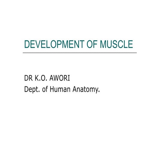 DEVELOPMENT OF MUSCLE EMBRYOLOGY OF MUSLCE