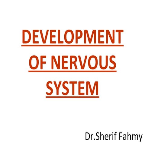 Development of Nervous System (Special Embryology)