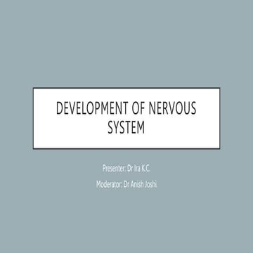 Development of nervous system.pptx