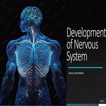 Comprehensive Embryology of the Nervous System: Development and ...