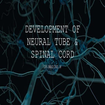 DEVELOPMENT OF NEURAL TUBE & SPINAL CORD.pptx