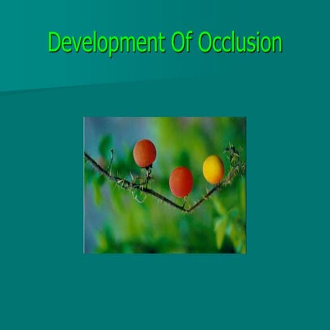 DEVELOPMENT OF OCCLUSION-1.ppt