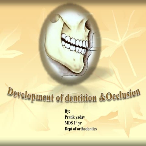 Development of occlusion AND dentition