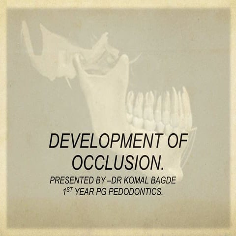 Development of occlusion