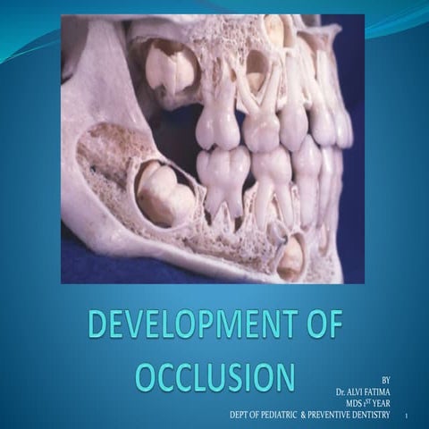 Development of occlusion