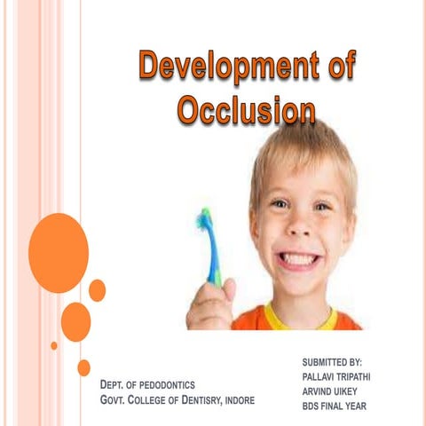 Development of occlusion